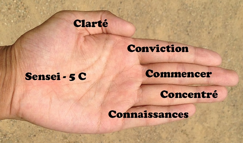 Atteindre vos objectifs en karaté