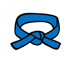 Programme ceinture bleue karaté