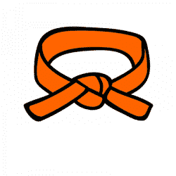 Programme ceinture orange karaté