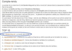 Karaté-Blog.net au Top10 sur Masterfight