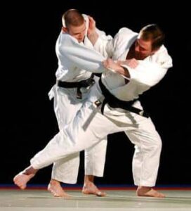 Le Judo