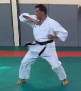 Mawashi Empi Uchi
